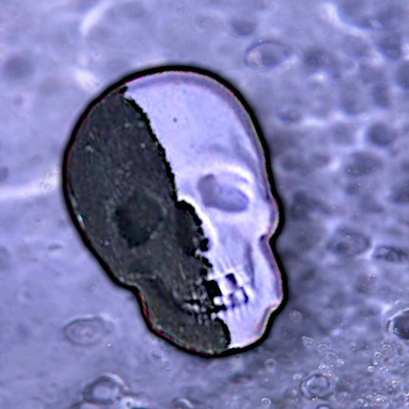Skeleton Bath Bomb - Black & White